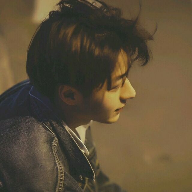 shaofei jin